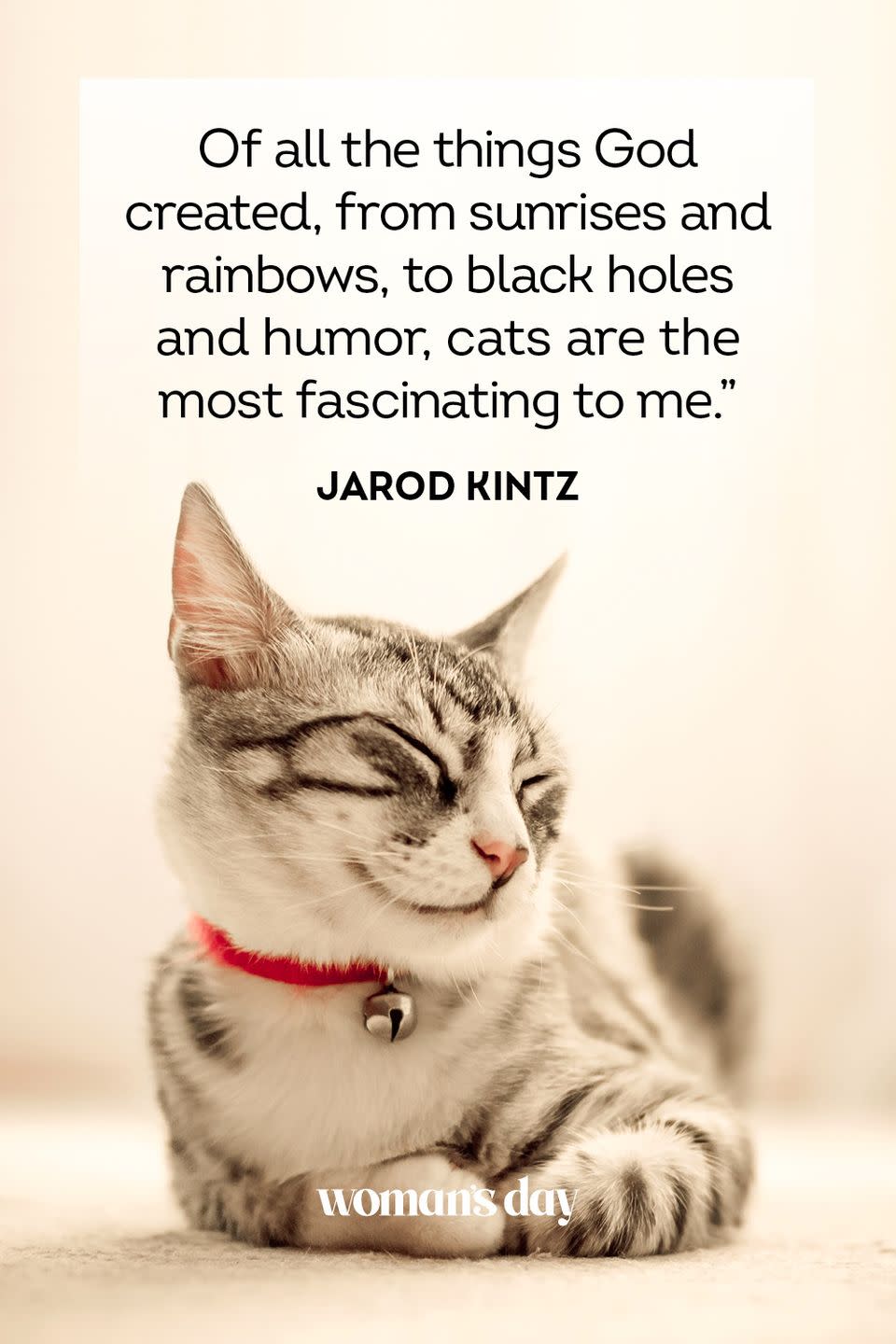 Jarod Kintz