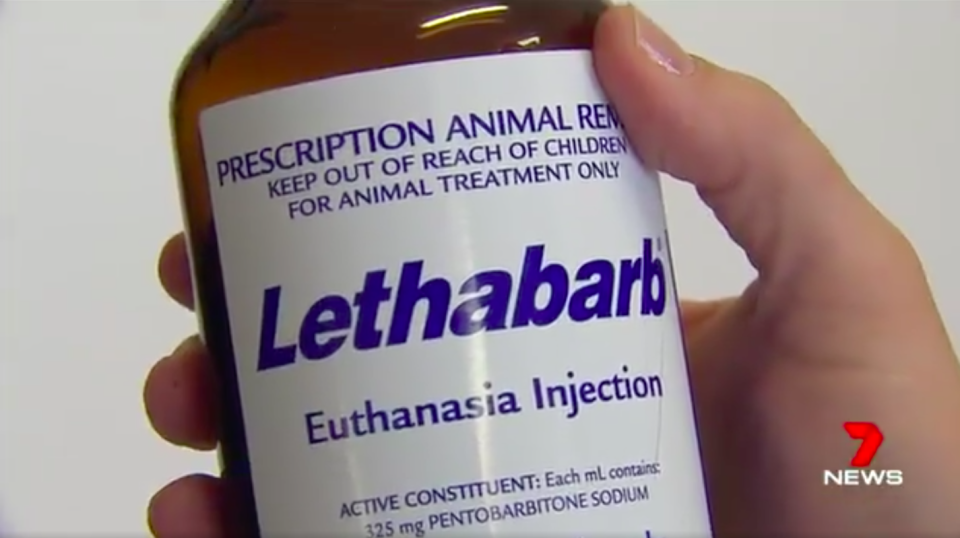 The head of the Veterinary Surgeons’ Board now wants stricter controls over the drug. Source: 7News