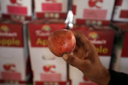 A worker displays a rotten apple at a warehouse, in Sopore