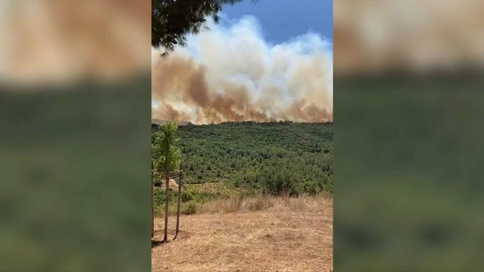 Un incendie dans l'Hérault ce mardi 26 juillet 2022. - Images témoins BFMTV
