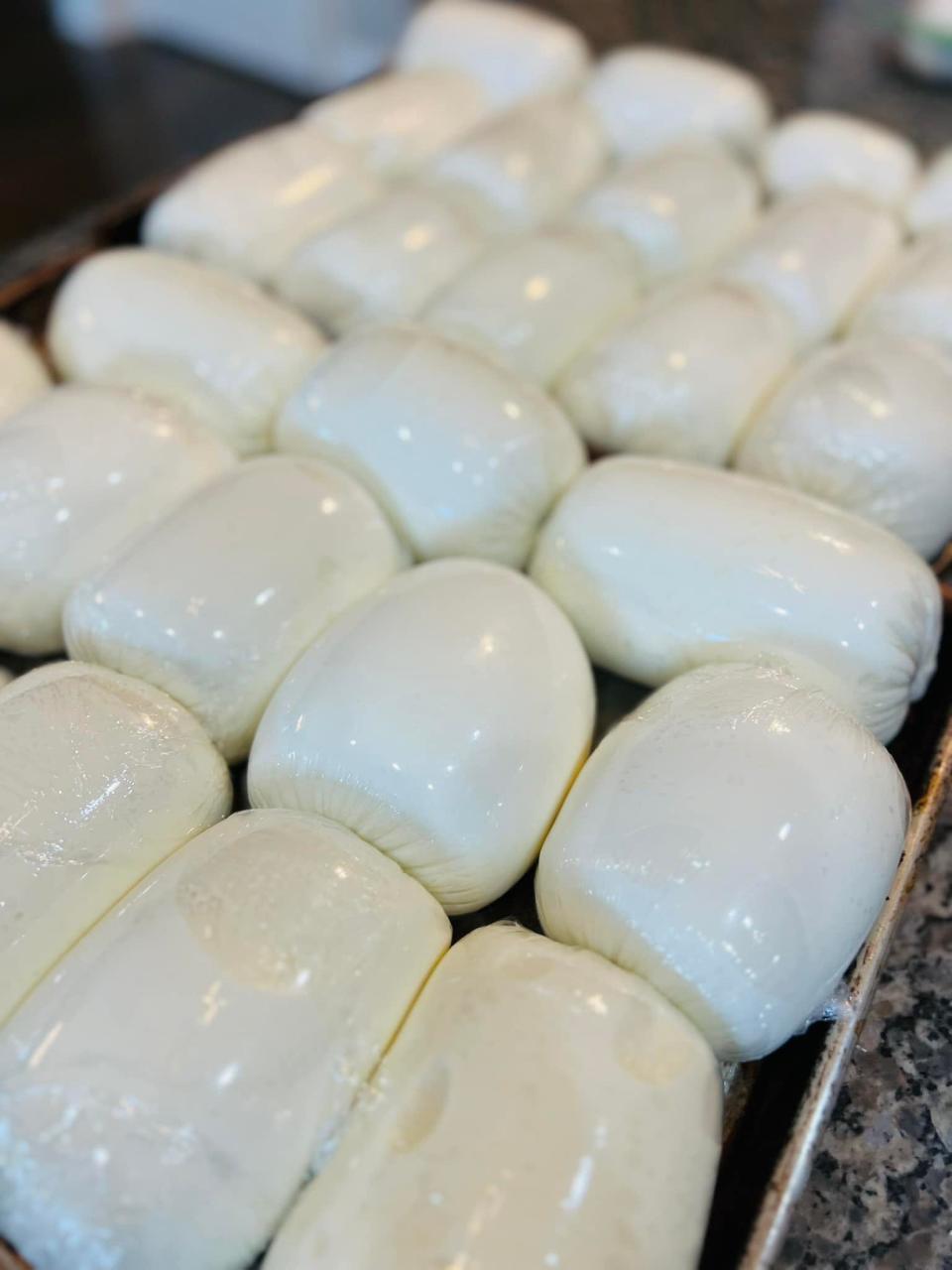 A tray is filled with freshly made silky mozzarella at a cheese-making class sponsored by Butcher and Bear (Ron Tulotta) at Sunago Coffee Co. on June 2, 2023.