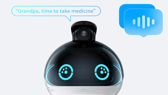 This social robot is an excellent family companion » Gadget Flow