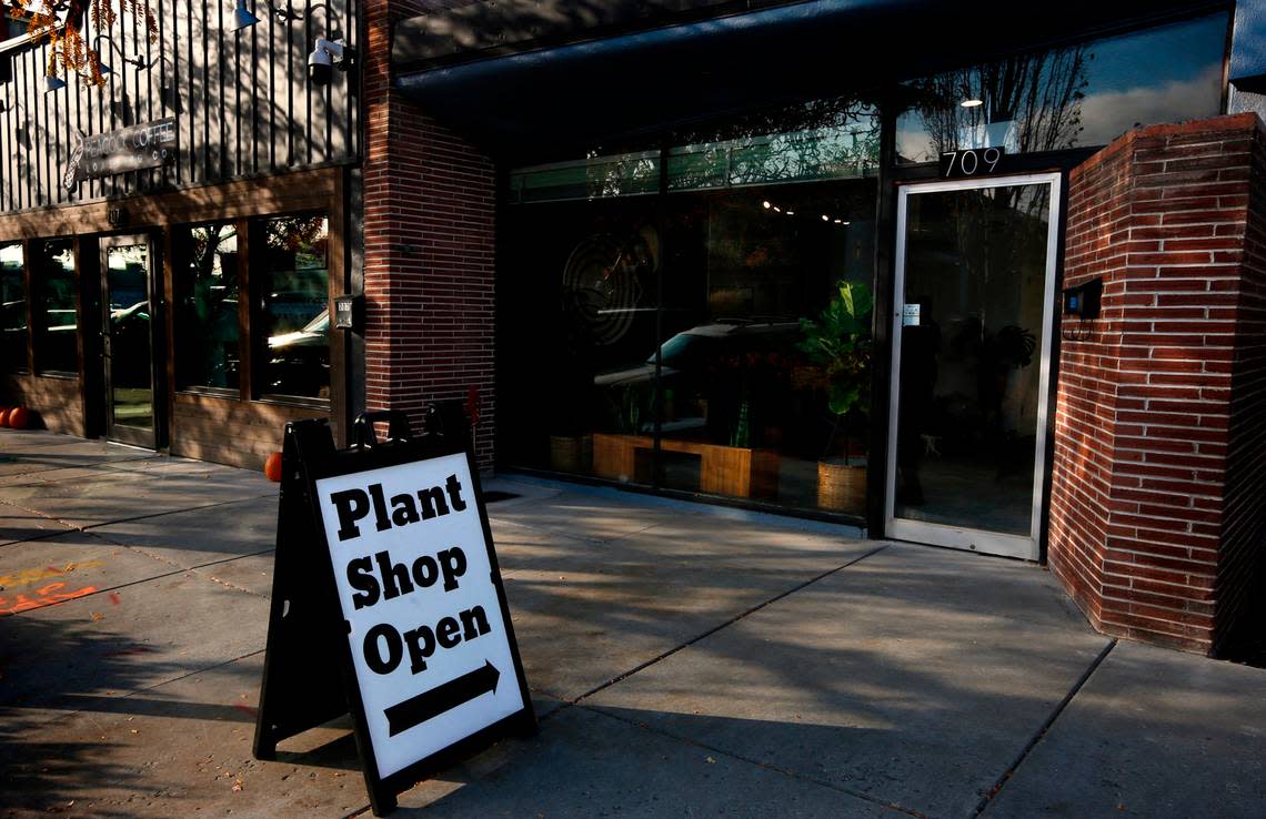 The new second location of The Little Plant Shop is at 709 The Parkway in Richland.