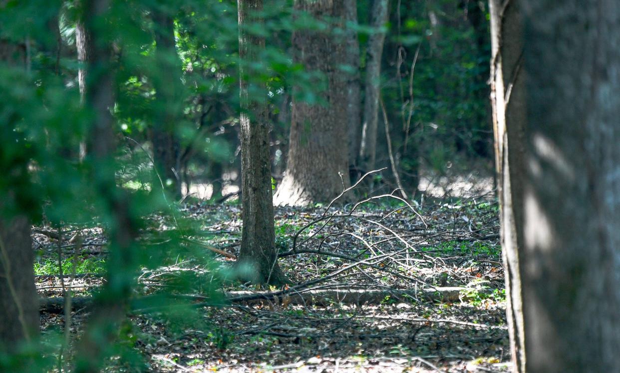 City of Anderson and Anderson County Coroner's Office, responded to a wooded area at Graylyn subdivision off Concord Road, where human bones were found Saturday, according to a statement from the Coroner's office.