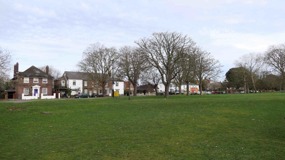 Green grass in a park with some trees and houses in the background