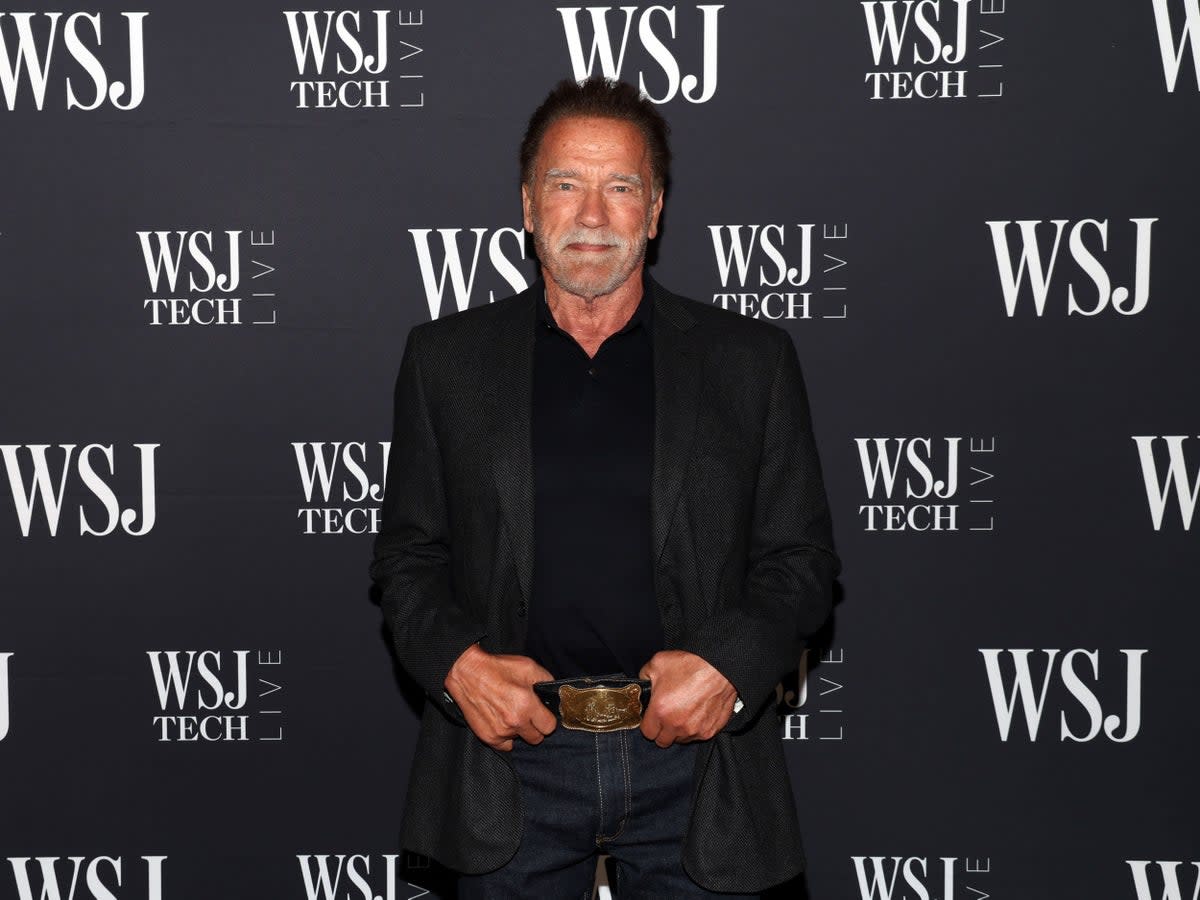 Arnold Schwarzenegger was detained at Munich airport on Wednesday  (Getty Images for The Wall Street)