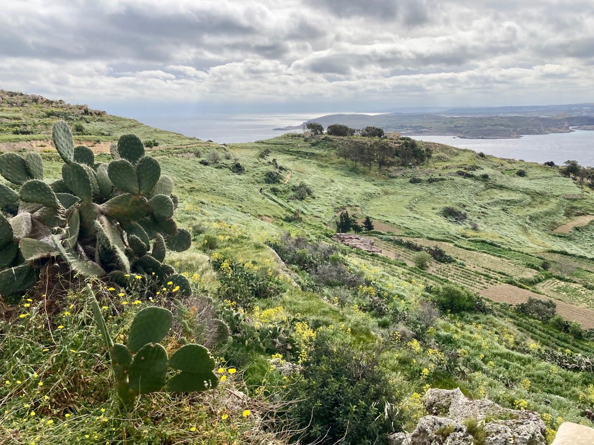 There are plenty of walks along Gozo’s rugged coastline (Kerry Walker)