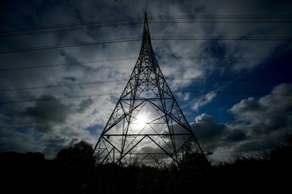 Boris Johnson has vowed that Britain’s electricity will be entirely green by 2035 (Peter Byrne/PA) (PA)