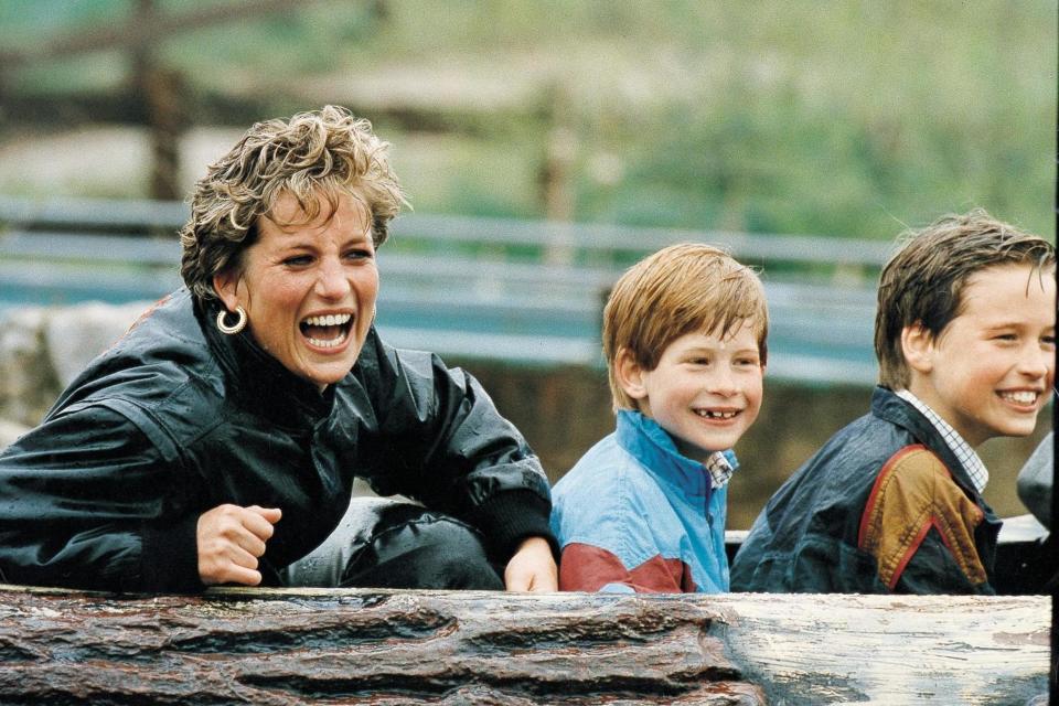 Diana with Princes Harry and William: Daily Mail