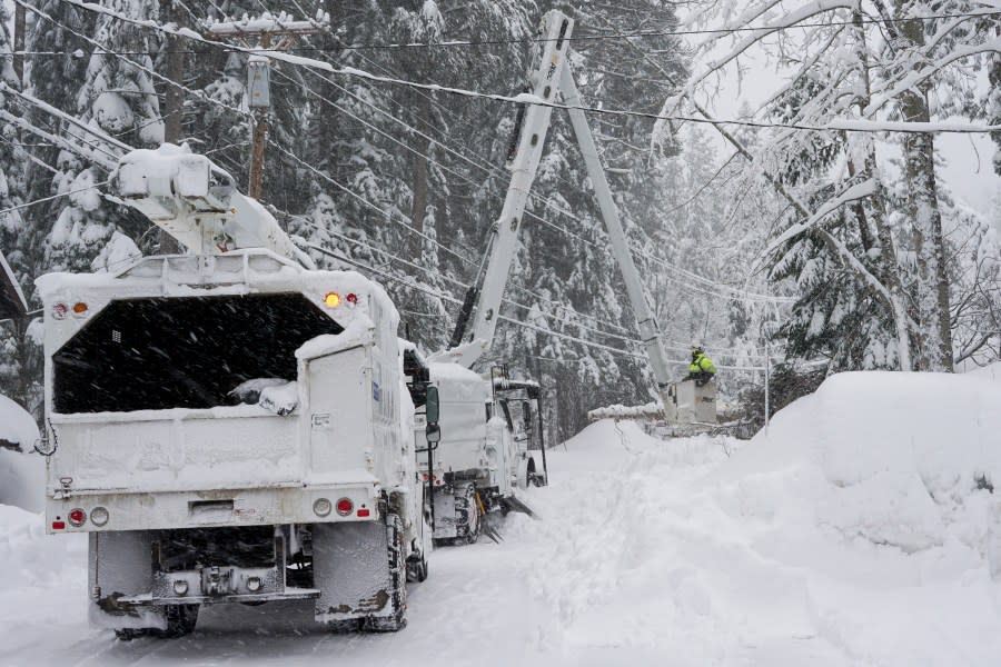 Crews clears trees along Donner Lake, where power was lost due to a snow storm, Saturday, March 2, 2024, in Truckee, Calif. (AP Photo/Brooke Hess-Homeier)