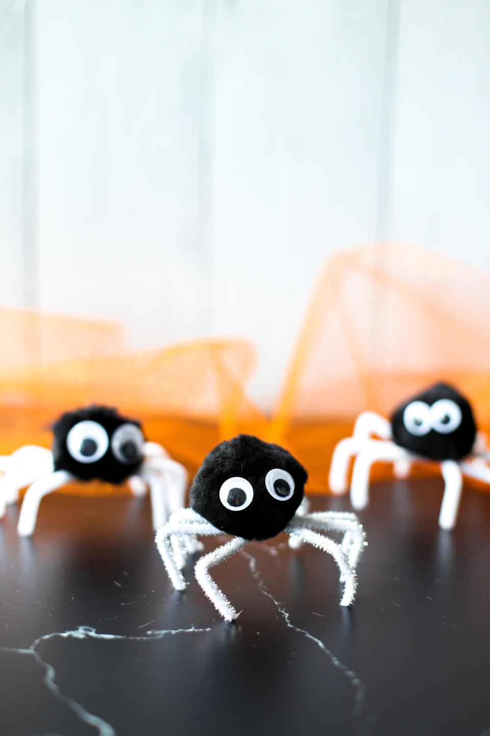 pipe cleaner spiders (Thriving Home )