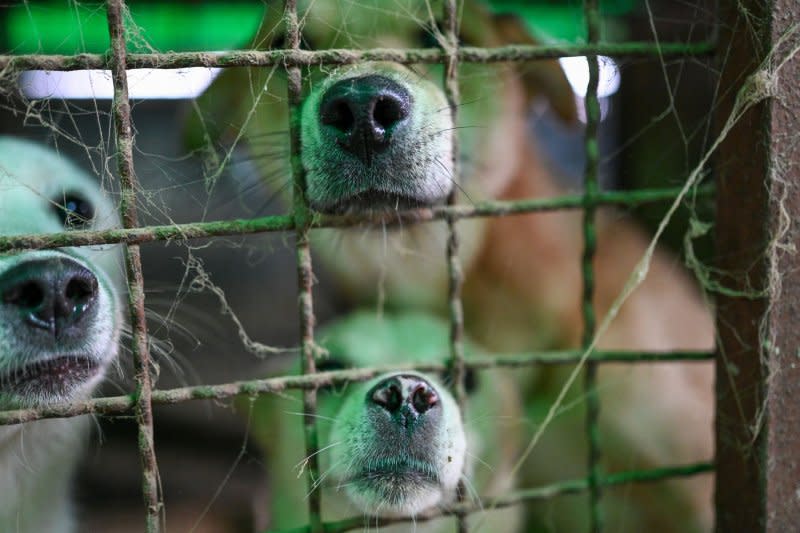 Eating dog meat has fallen tremendously out of favor in recent years as pet ownership grows in South Korea. File Photo by Thomas Maresca/UPI
