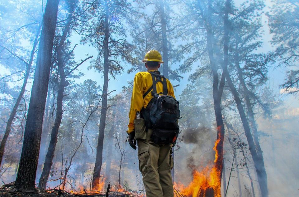 A fire specialist pauses on a hill to assess the progress of a "prescribed burn" in 2018 in the Nicholas Farm Management Area in Western Coventry.