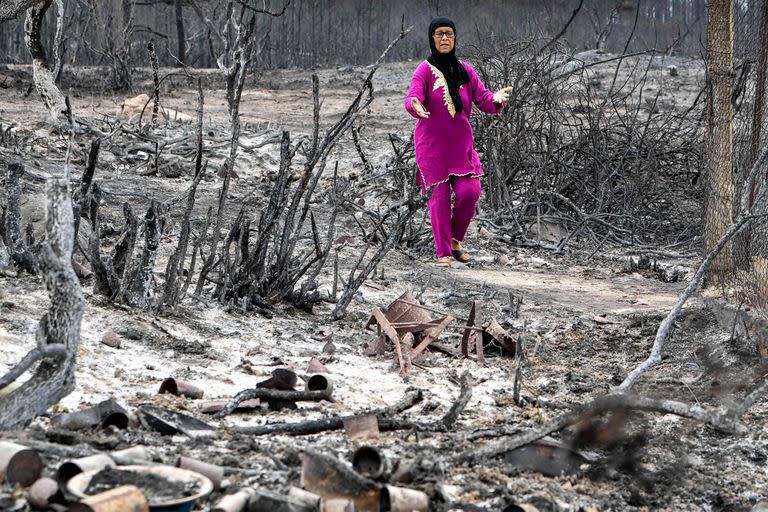 Una mujer camina entre los restos carbonizados de árboles tras un incendio forestal cerca de la ciudad de Melloula, en el noroeste de Túnez, cerca de la frontera con Argelia