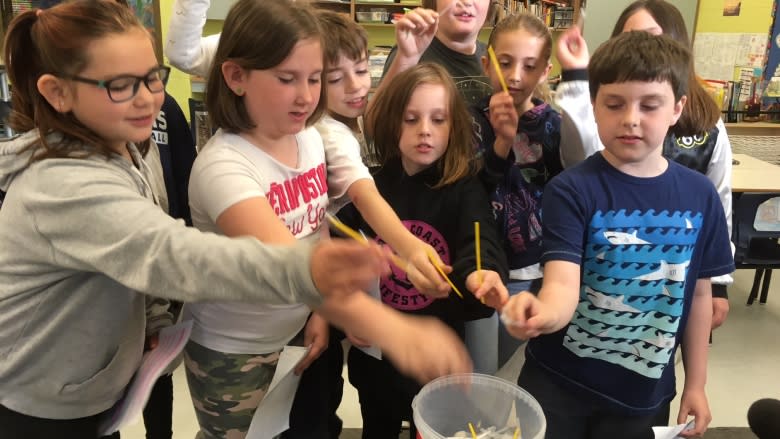 Grade 4 students lobby school to ban straws in an effort to save sea creatures