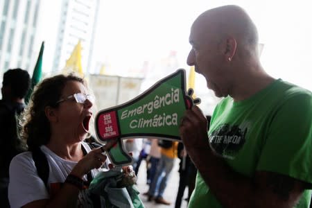 Global Climate Strike in Sao Paulo 