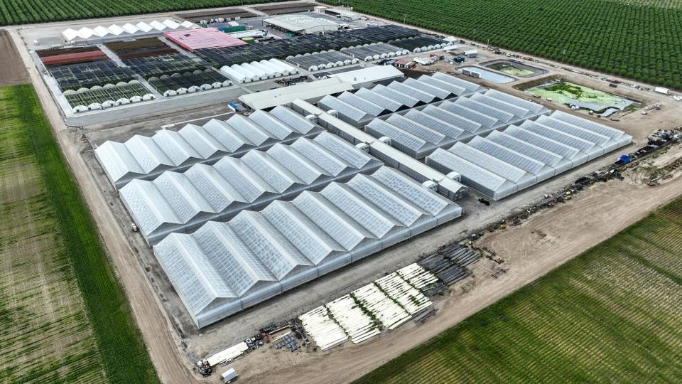 An aerial view of greenhouses at Wonderful Nurseries