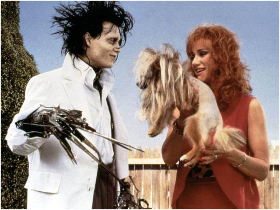 Edward Scissorhands dog hair cuts