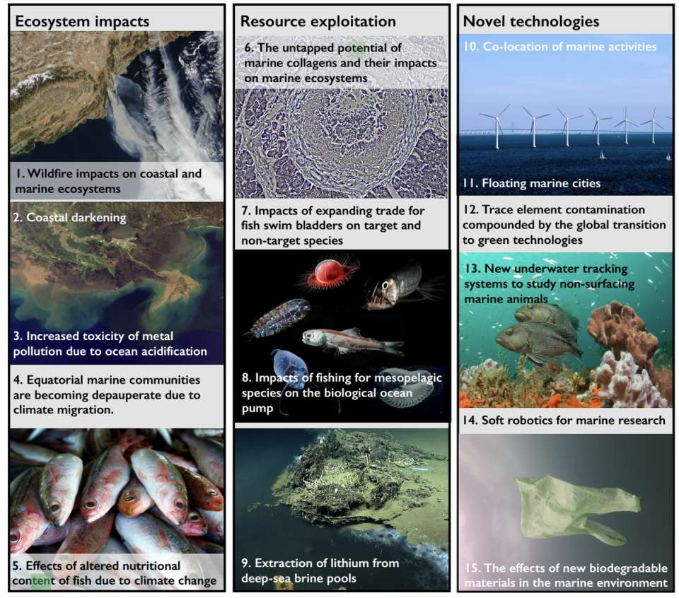 An international team of scientists have listed their top concerns for the global ocean (University of Cambridge’s Department of Zoology)