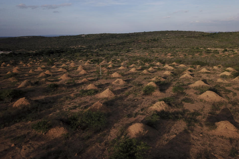 Montículos gigantes, construidos por termitas, cubren un campo cerca de Palmeiras, Brasil, el 24 de noviembre de 2018. Las formaciones son muy antiguas: pruebas radioactivas determinaron que tienen entre 690 y 3.820 años. (AP Foto/Victor R. Caivano)