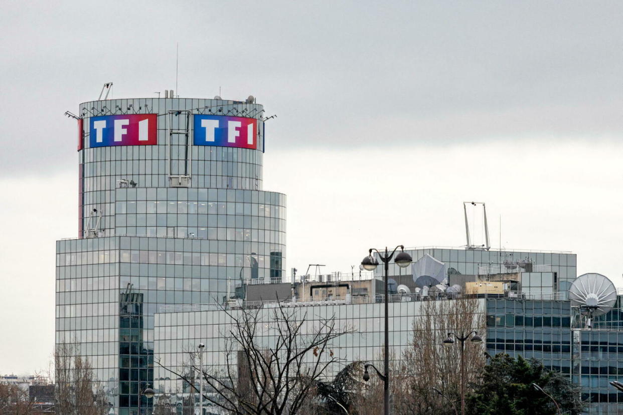 Le groupe TF1, leader des audiences, veut dynamiser la partie « journée » de sa grille des programmes. Le coup d'envoi de la nouvelle mouture est prévu le 8 janvier 2023.  - Credit:BENJAMIN POLGE / Hans Lucas / Hans Lucas via AFP