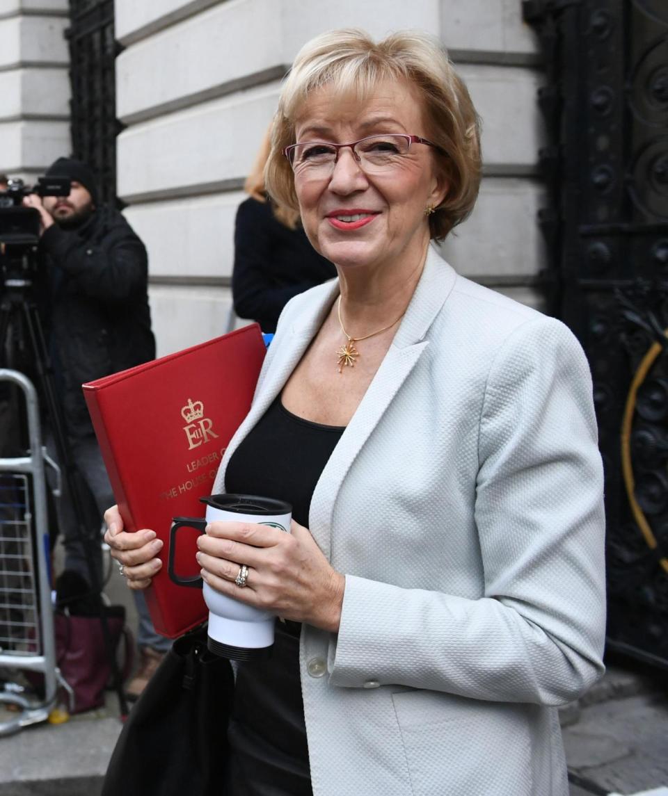 Leader of the House of Commons Andrea Leadsom (PA)