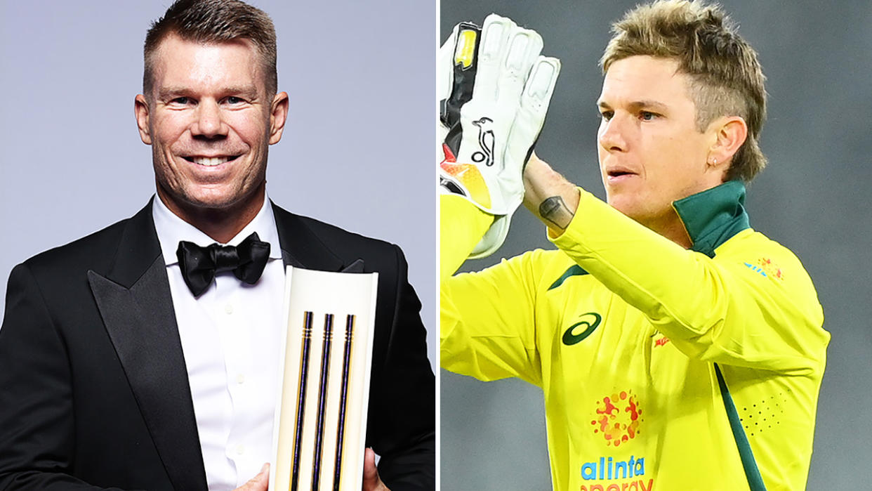 Adam Zampa, pictured here alongside David Warner.