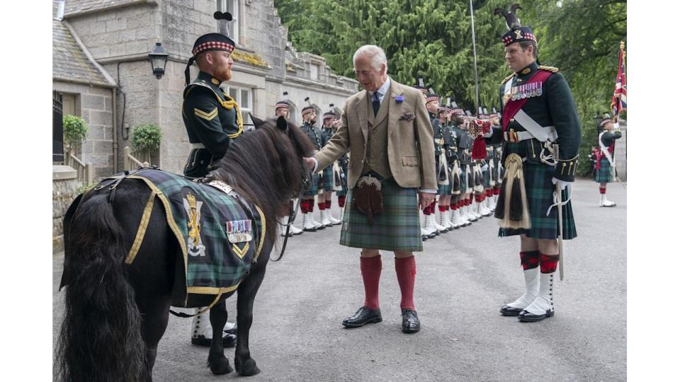 King Charles III meets Shetland pony Cpl Cruachan IV (mascot of the Royal Regiment of Scotland)