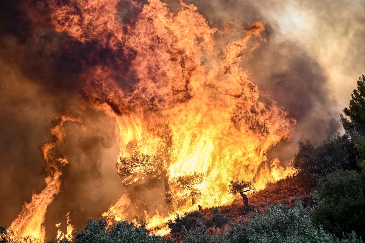 Wildfires have ravaged Greece this summer (AFP via Getty Images)