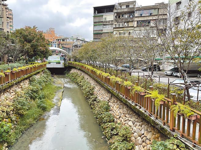 土城區公館溝周邊種植櫻花樹、杜鵑、桂花等植物，但長期家庭廢水排入，惡臭不堪。（記者蔡雯如攝）