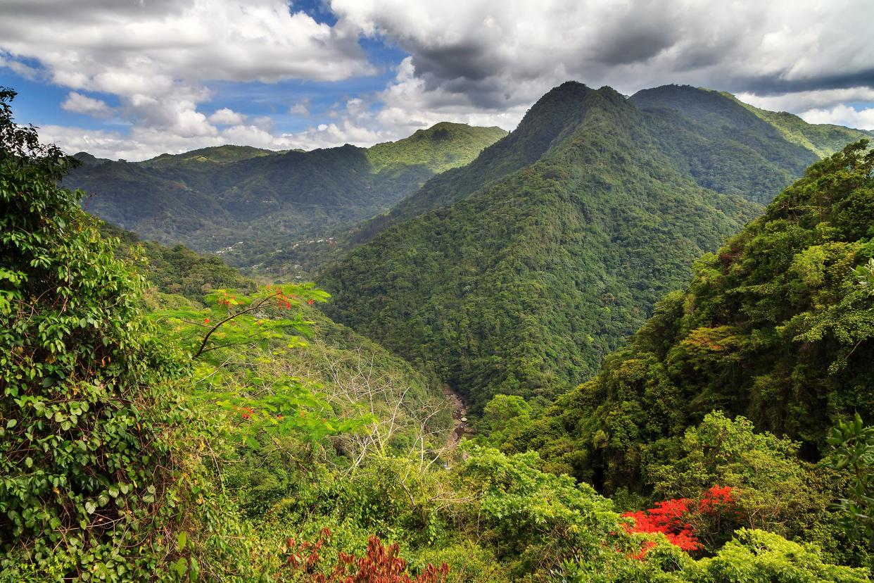El Yunque Rainforest, Puerto Rico