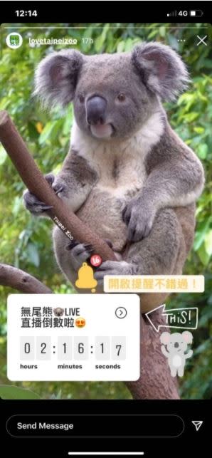 動物園都有IG可以近距離直播看動物，讓女大生非常療癒。（圖／翻攝自Dcard）