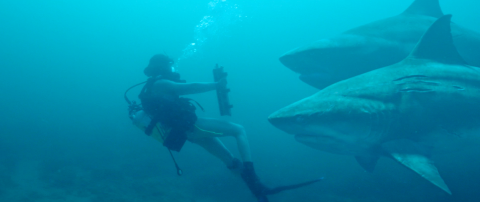 A scientist (Tania Raymonde) threatens a couple of genetically engineered bull sharks with a mine in the action thriller "Deep Blu Sea 3."