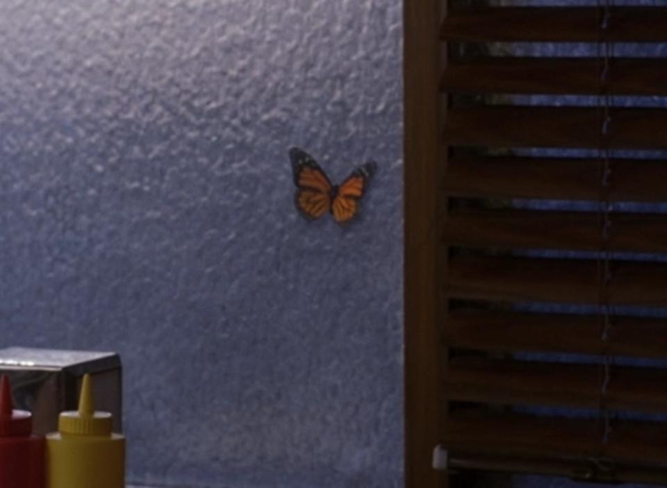 Butterfly