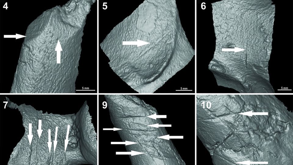 Detailed examination of cut marks on the fossils revealed that they were stone tools in a deliberate sequence.  - Miguel Eduardo Delgado et al.