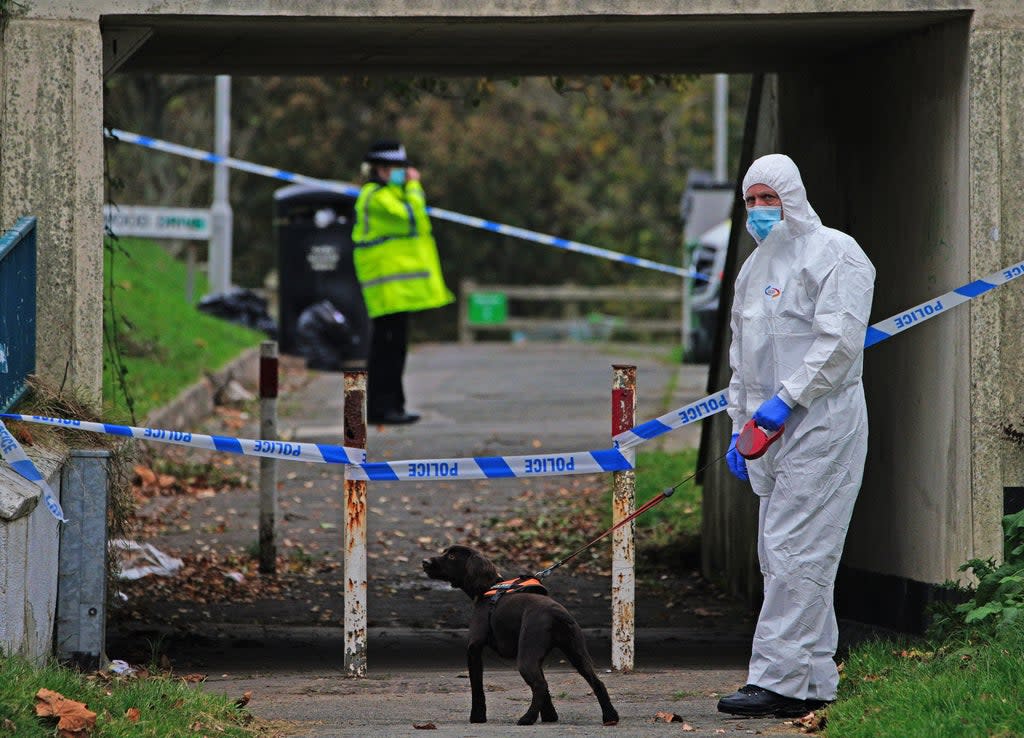 A crime scene investigator near Sheepstor Road in Plymouth, after the body of a woman was found in the hunt for missing Plymouth teenager Bobbi-Anne McLeod, who has not been seen since Saturday evening. Picture date: Wednesday November 24, 2021. (PA Wire)