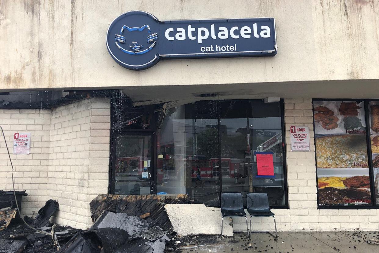 17 Cats Staying at a Pet Hotel Killed and a Firefighter Injured in Los Angeles Blaze