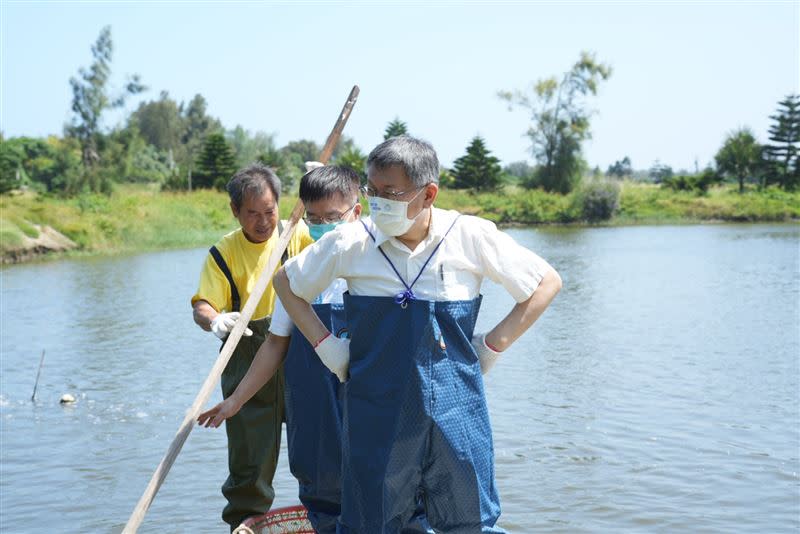 柯文哲前往新竹縣竹北市烏魚養殖場（圖／民眾黨提供）