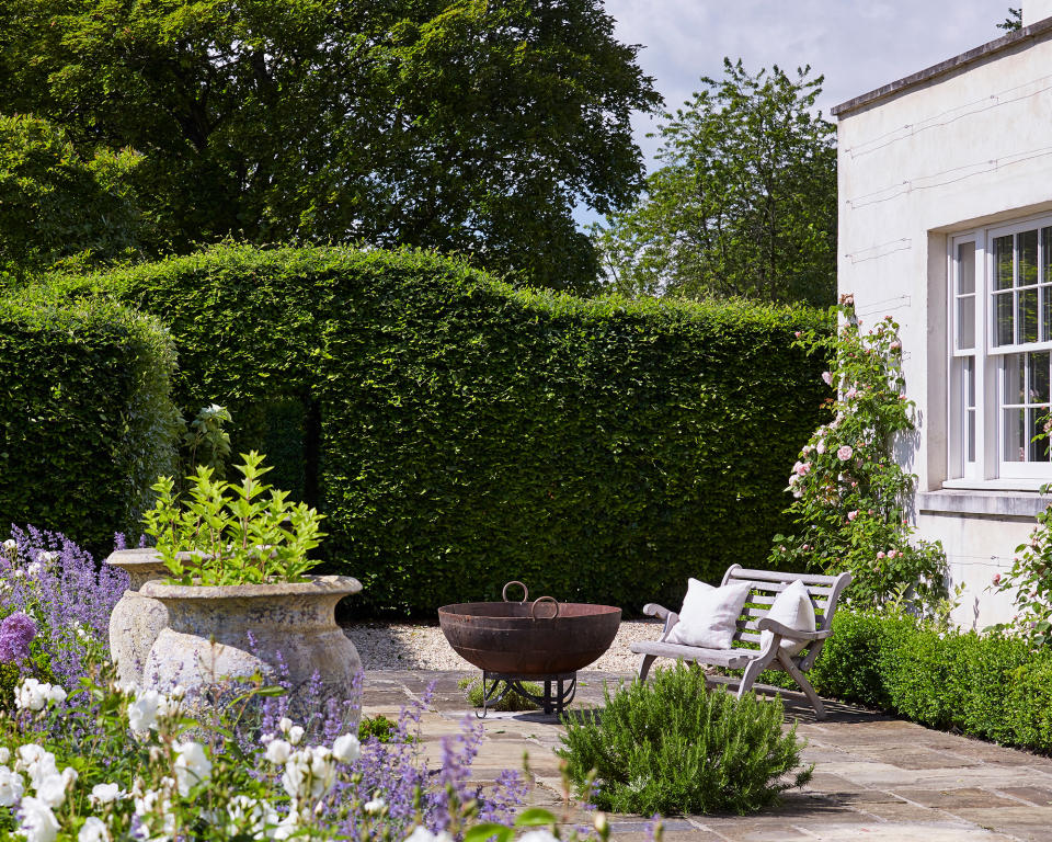 Create tall boundaries with hedges