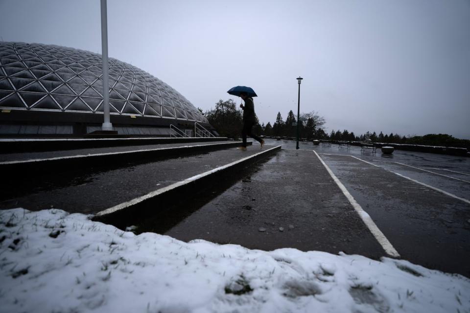 Queen Elizabeth Park in Vancouver pictured on Monday, Jan. 8, 2024.  (The Canadian Press - image credit)