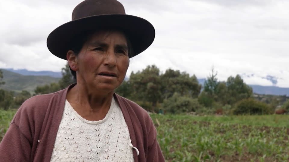 Peruvian farmer Cristina Cárdenas de La Cruz sells her produce through SIMPLi. - CNN