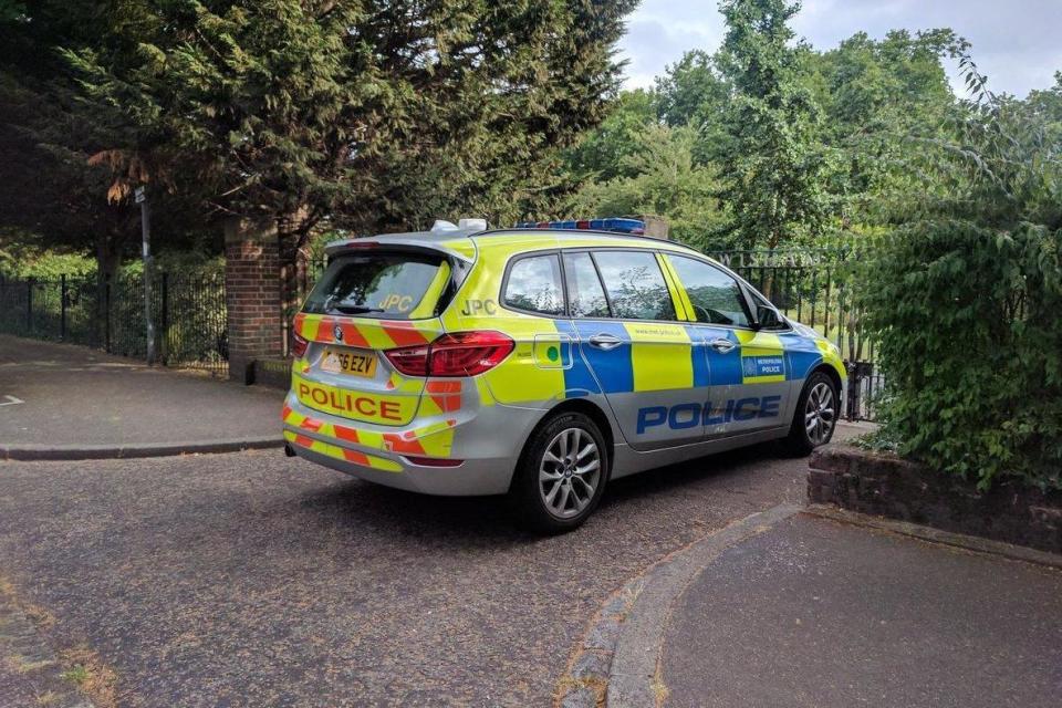 Crime scene: A police car in Lewisham Park: @MichaelSnasdell