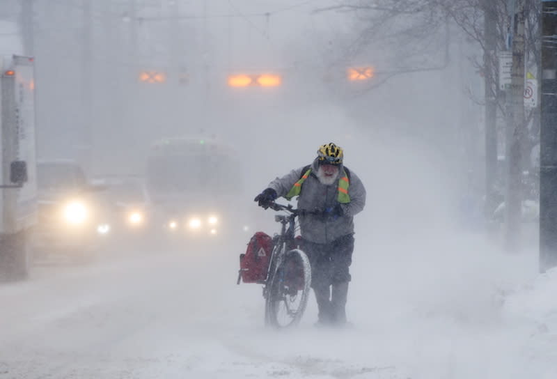 PHOTOS: Toronto digs out from massive snowstorm