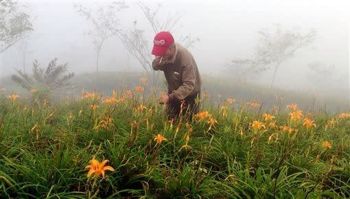 台東太麻里金針山（圖／三立新聞網）