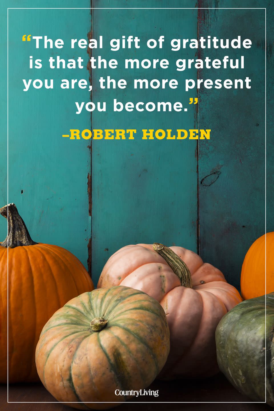 <p>"The real gift of gratitude is that the more grateful you are, the more present you become."</p>