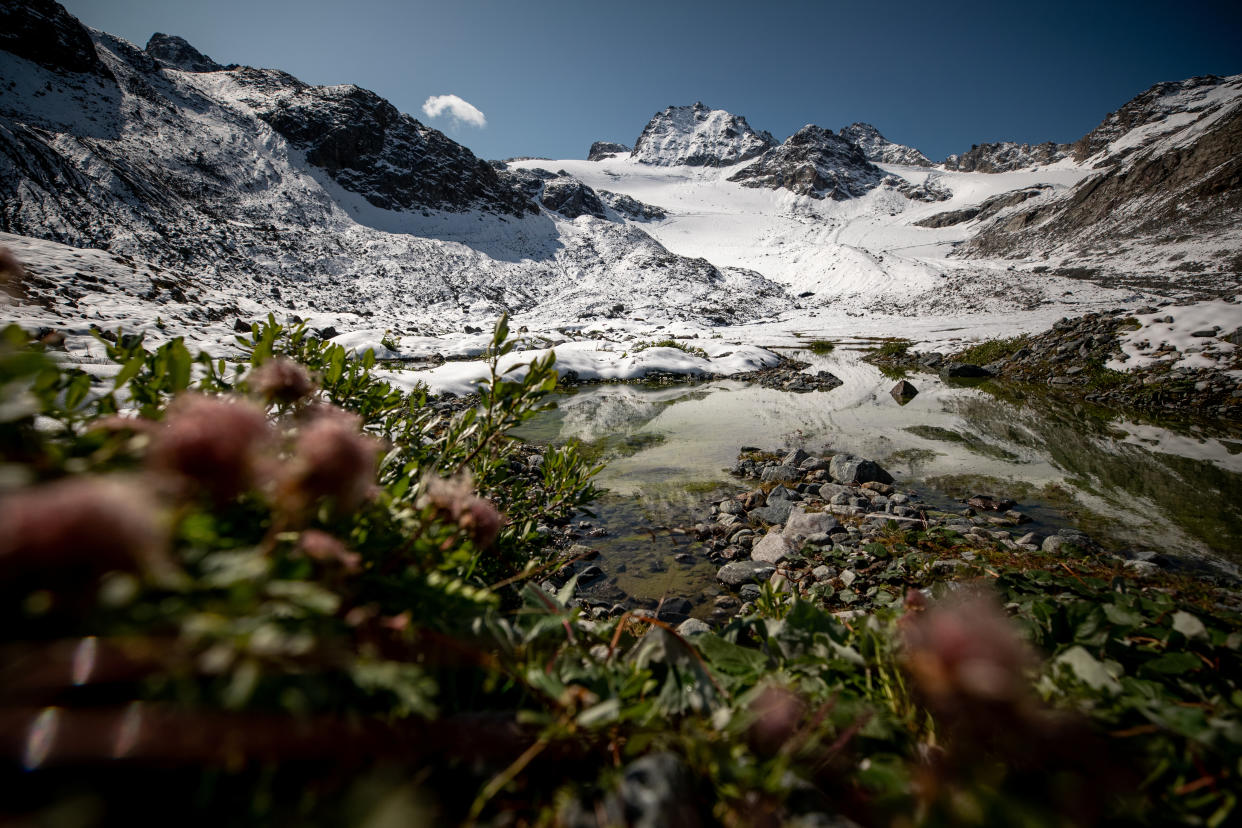 Plants grow near a lake in front of Jamtalferner glacier near Galtuer, Austria. (Photo: Lisi Niesner/Reuters)