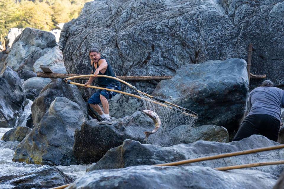 Ron Reed, of the Karuk Tribe, pulls a salmon out of the Klamath River while fishing with his traditional dip net at Ishi Pishi Falls on Sept. 29, 2022, in Siskiyou County. “We’re the second-largest tribe in California,” he said. “In the last five years we’ve caught on average 50 fish a year … that isn’t taking care of much of anything,” he added. “This year we had a great year, so we’ve had a lot of people come down here to be able to touch and spark relationships that have kind of went dormant because of lack of fish … it’s good to see that the connection is still there, but without fish, our culture is dying.”