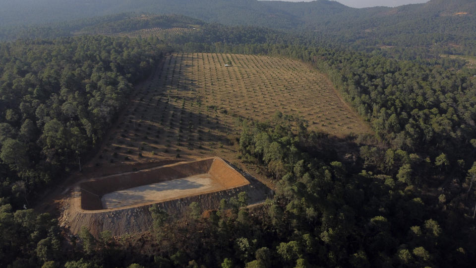 An unlicensed irrigation pond is under construction by an avocado orchard during a drought in the mountains of Villa Madero, Mexico, Wednesday, April 17, 2024. Farmers from Villa Madero who spotted the pond say they plan to meet with authorities to get the pond's owner to agree on a percentage of water usage, and if it fails, they plan to destroy it. (AP Photo/Armando Solis)