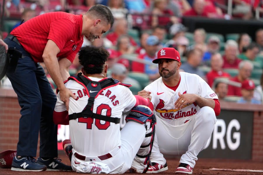 St. Louis Cardinals catcher Willson Contreras (40) is helped up by manager Oliver Marmol, right, and trainer Adam Olsen, left, after being injured during the second inning of a baseball game against the New York Mets Tuesday, May 7, 2024, in St. Louis. Contreras left the game. (AP Photo/Jeff Roberson)