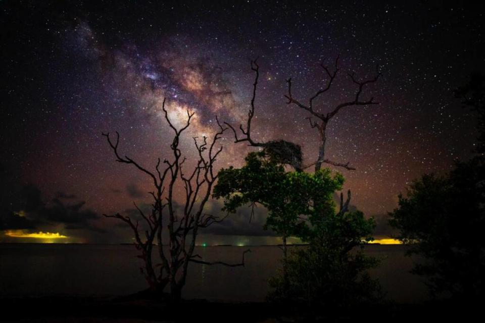 Everglades National Park after dark.